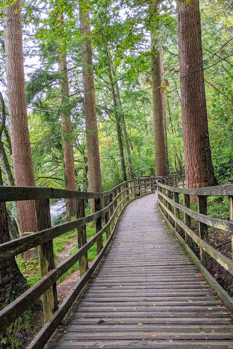 Gwydir Forest Park — Place photograph (1 of 3)