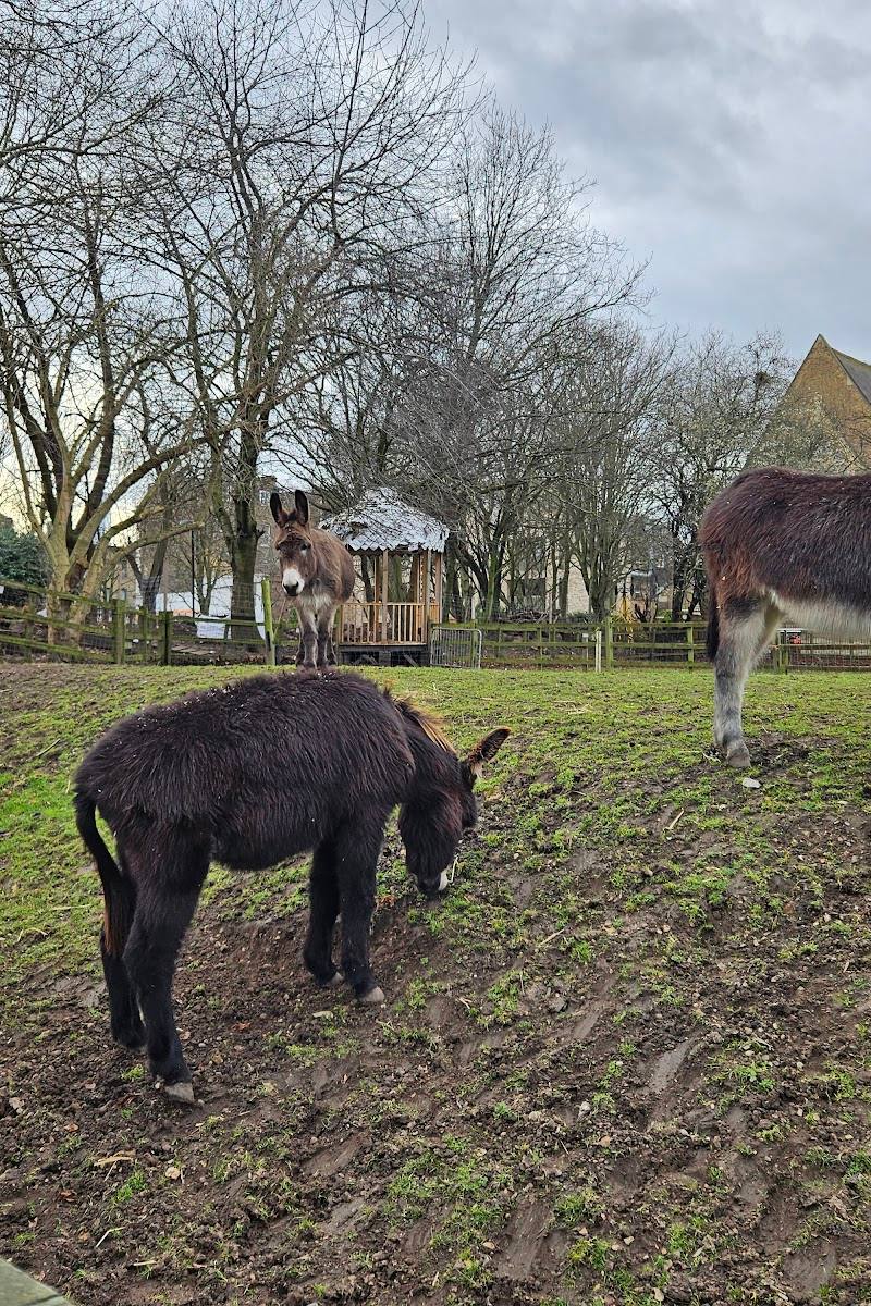 Hackney City Farm — Place photograph (3 of 3)