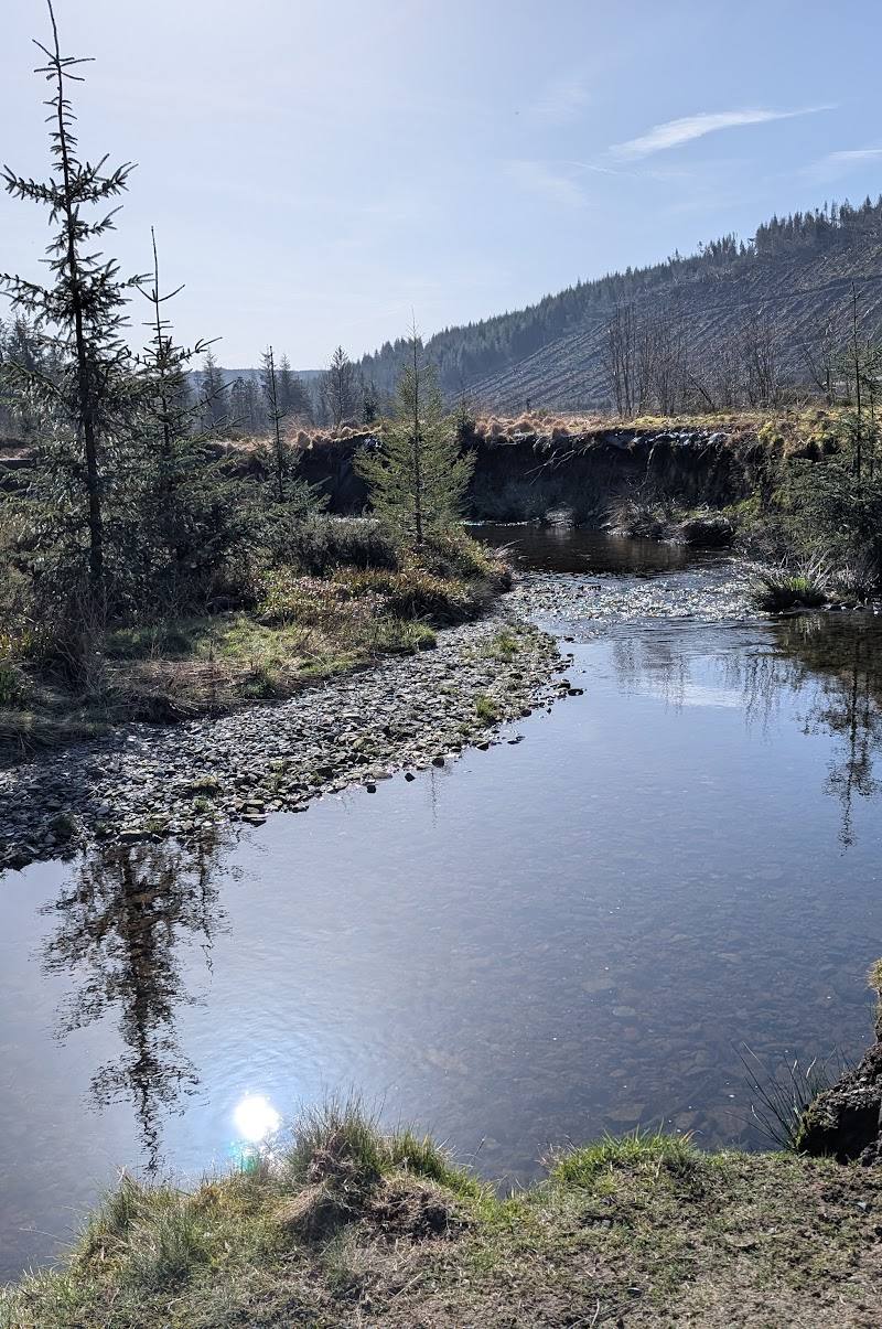 Hafren Forest — Place photograph