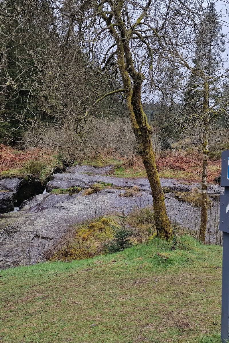 Hafren Forest — Place photograph (2 of 3)
