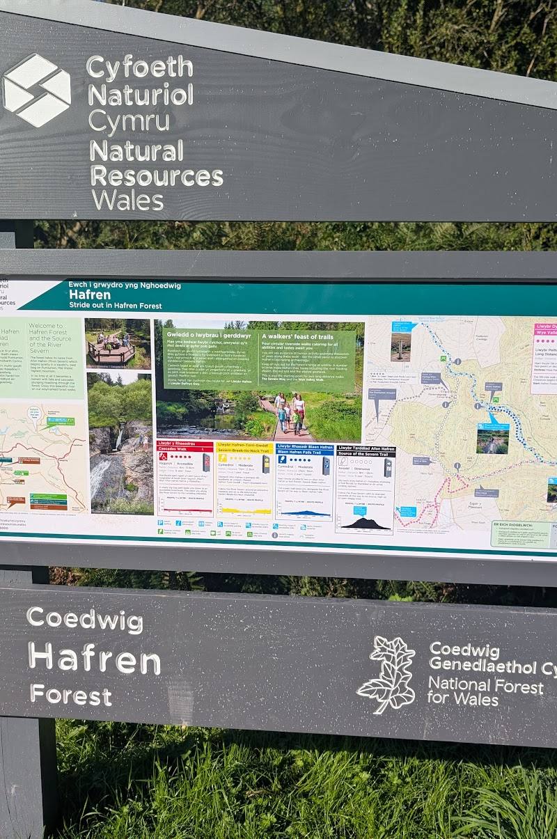 Hafren Forest — Place photograph (3 of 3)