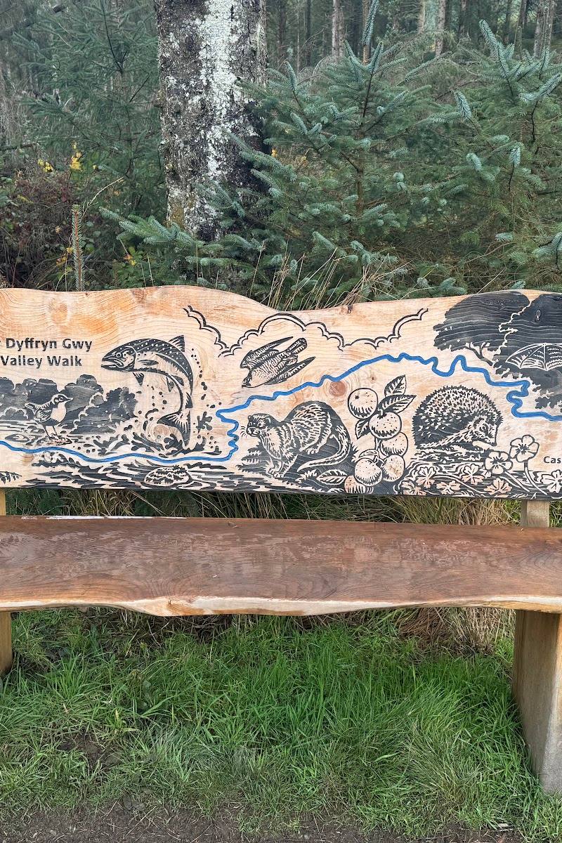 Hafren Forest — Place photograph (2 of 3)