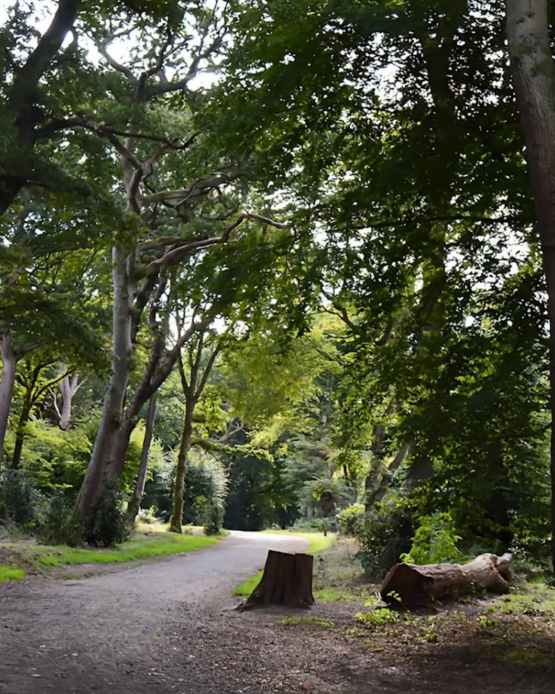 Hainault Forest Country Park — Source image