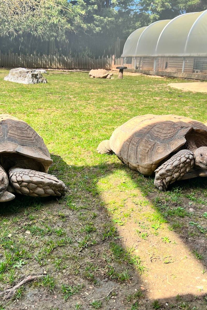 Hamerton Zoo Park