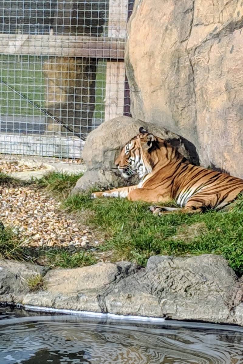 Hamerton Zoo Park