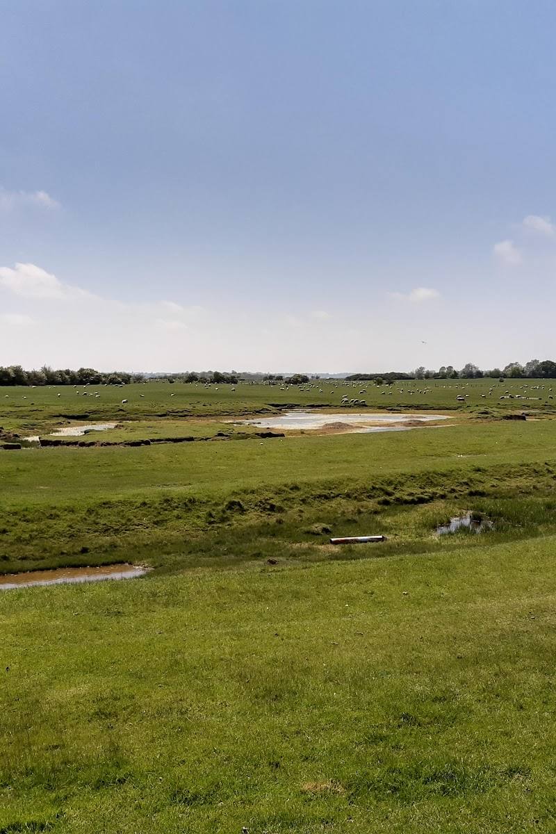 Hamford Water National Nature Reserve — Place photograph (3 of 3)