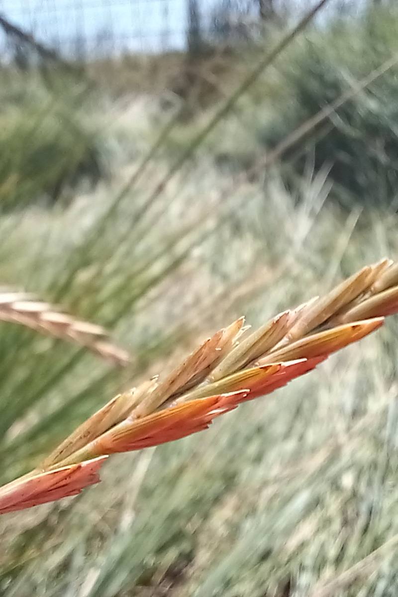 Hamford Water National Nature Reserve — Place photograph (3 of 3)