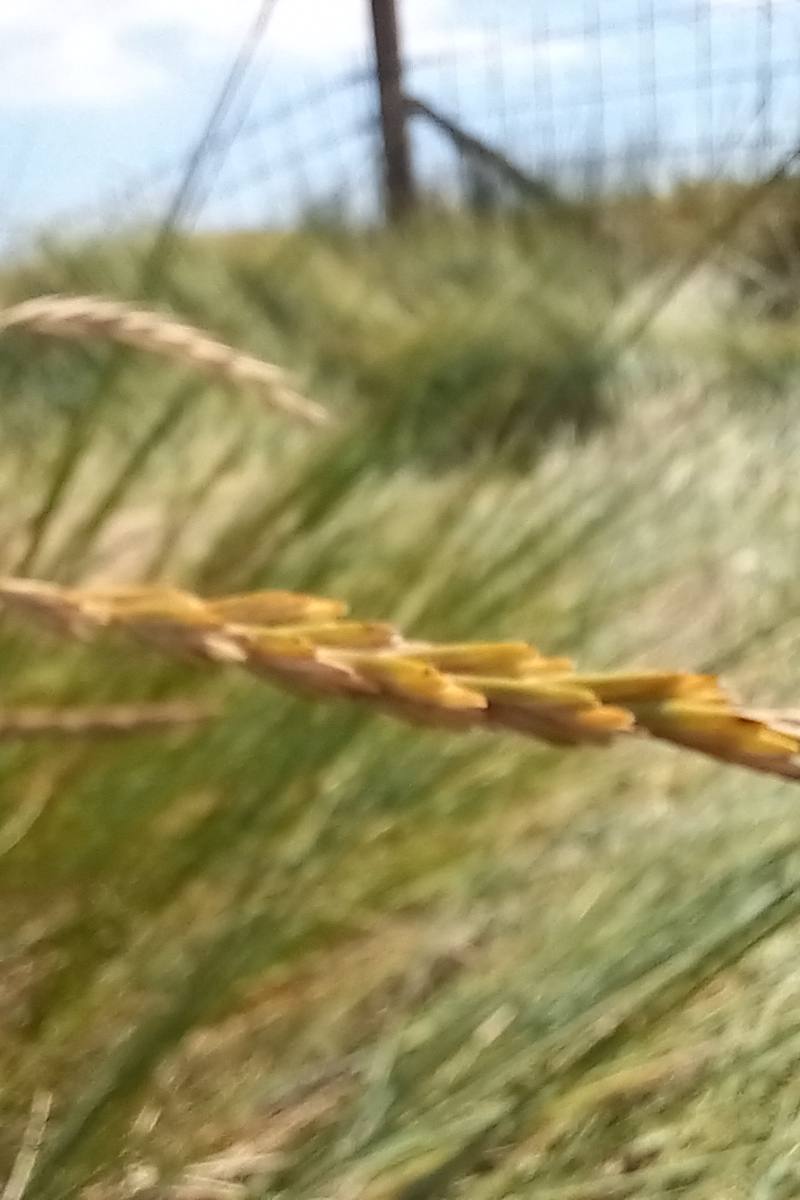 Hamford Water National Nature Reserve — Place photograph