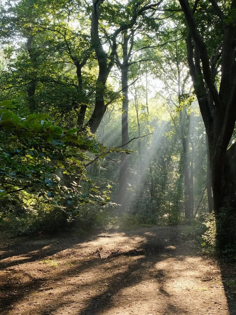 Sandy Heath, Hampstead Heath — Place photograph