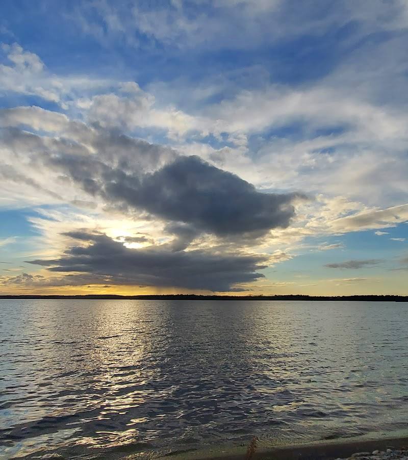 Hanningfield Reservoir Nature Discovery Park — Place photograph