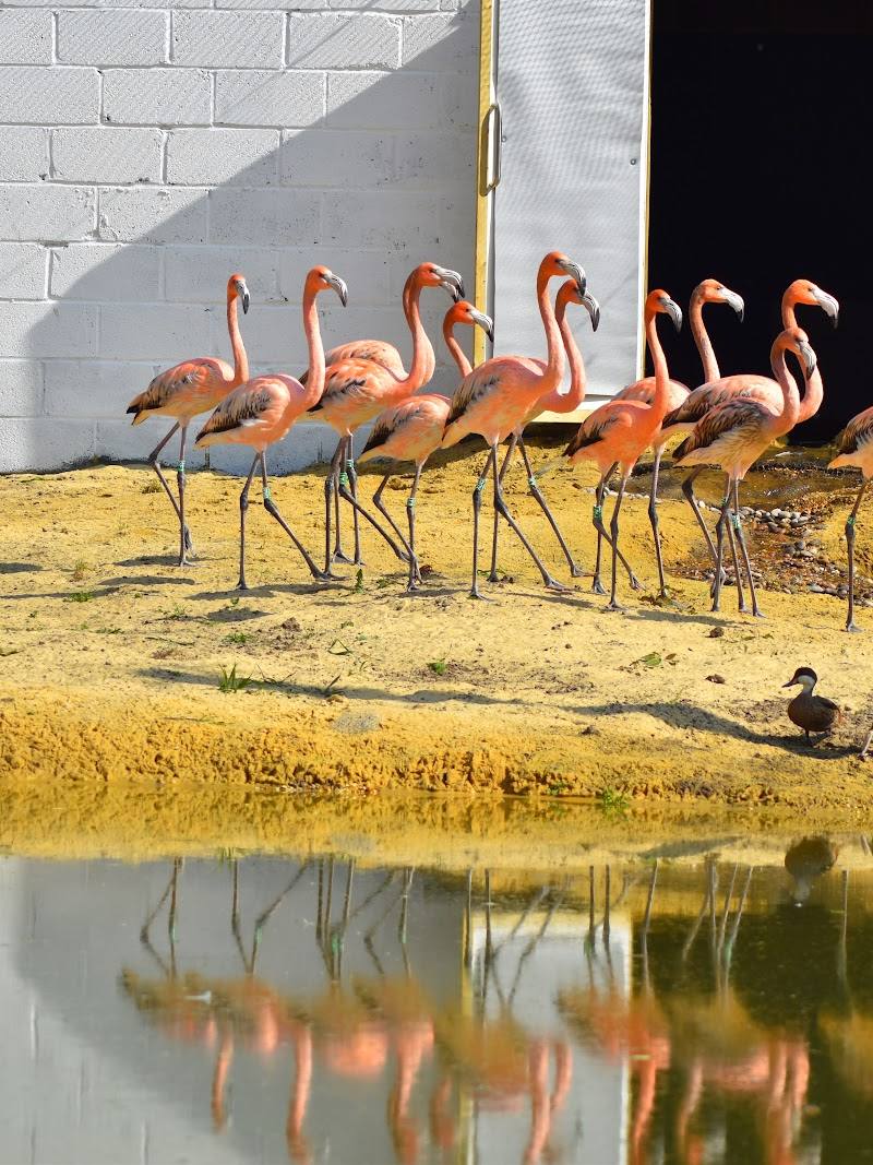 Hanwell Zoo — Place photograph