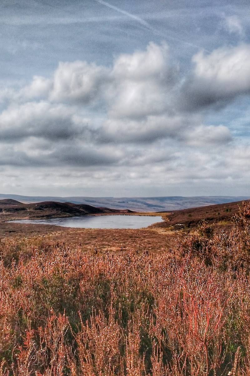Harbottle Lake — Place photograph