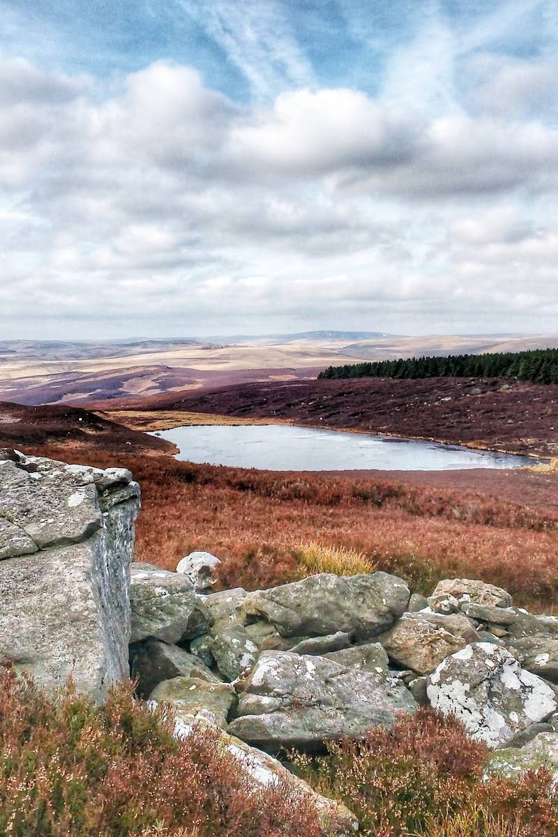 Harbottle Lake
