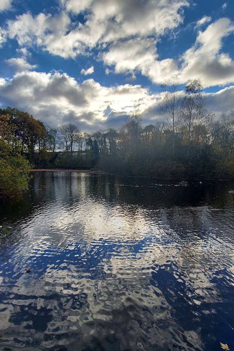 Harrison’s Plantation Nature Reserve — Place photograph (1 of 3)