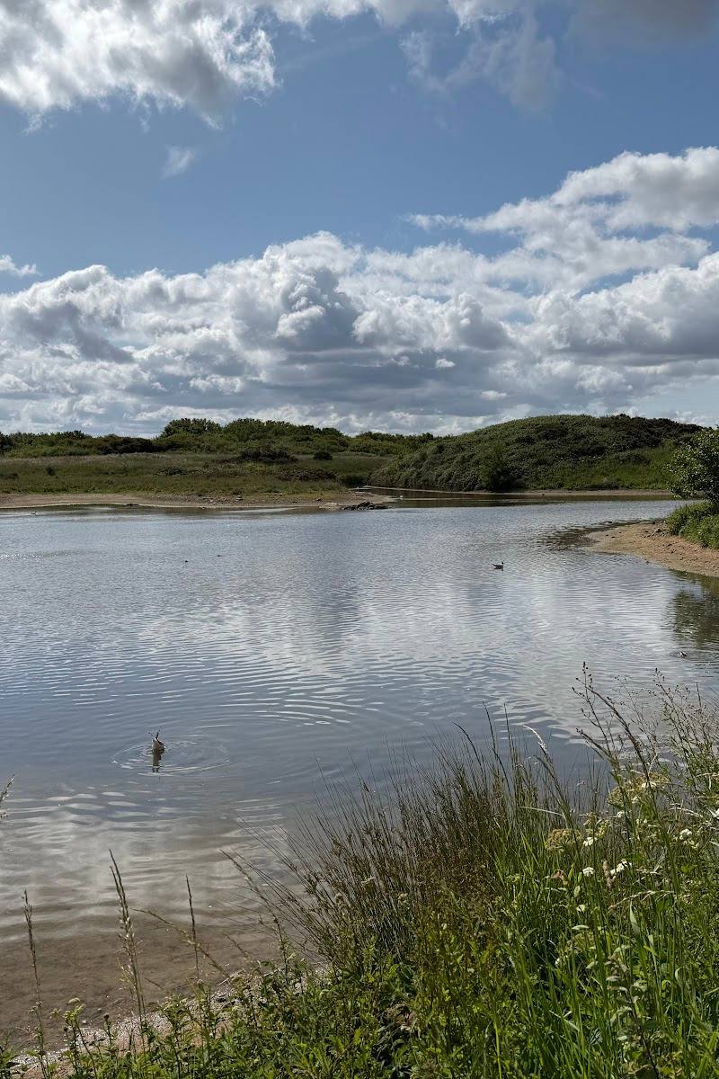 Hauxley Wildlife Discovery Centre — Place photograph