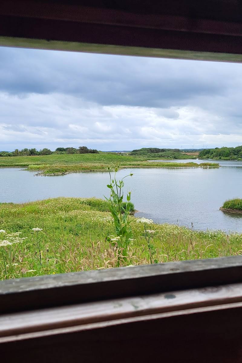 Hauxley Wildlife Discovery Centre