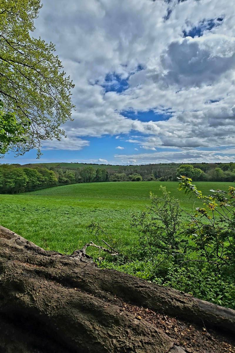 Hawthorn Dene — Place photograph