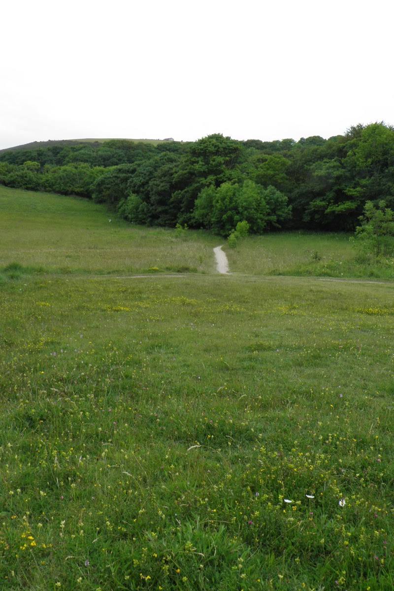 Hawthorn Dene Meadows