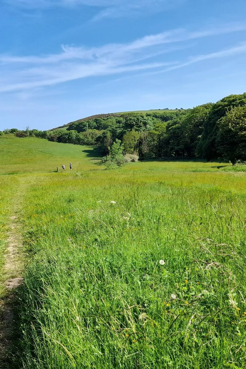 Hawthorn Dene Nature Reserve