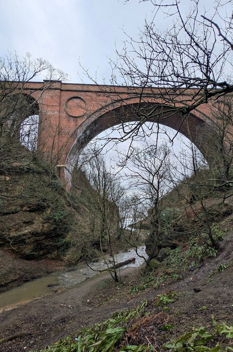 Hawthorn Dene — Place photograph