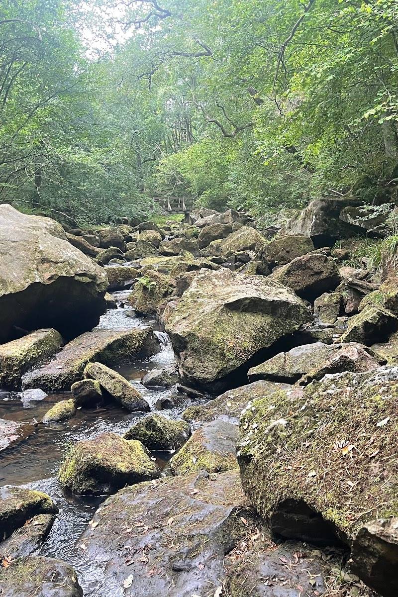 Hayburn Wyke waterfall