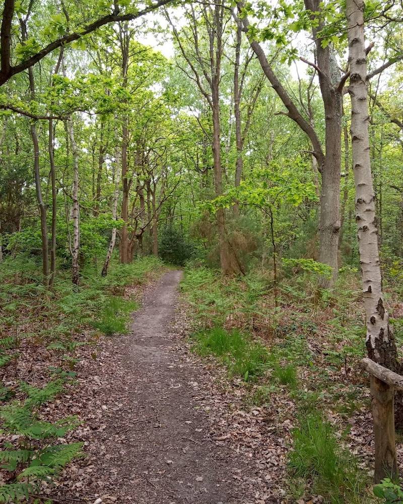 Hayes Common — Source image