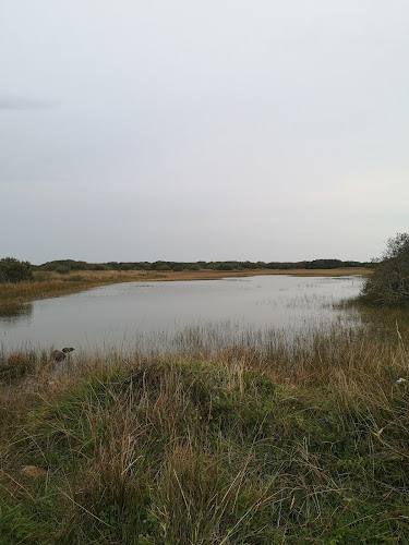Hayle Kimbro Pool — Source image