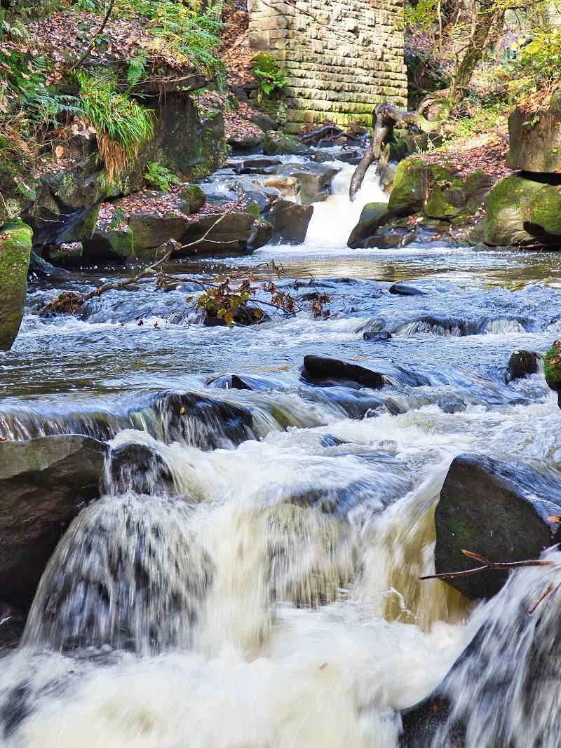 Healey Dell Nature Reserve — Place photograph