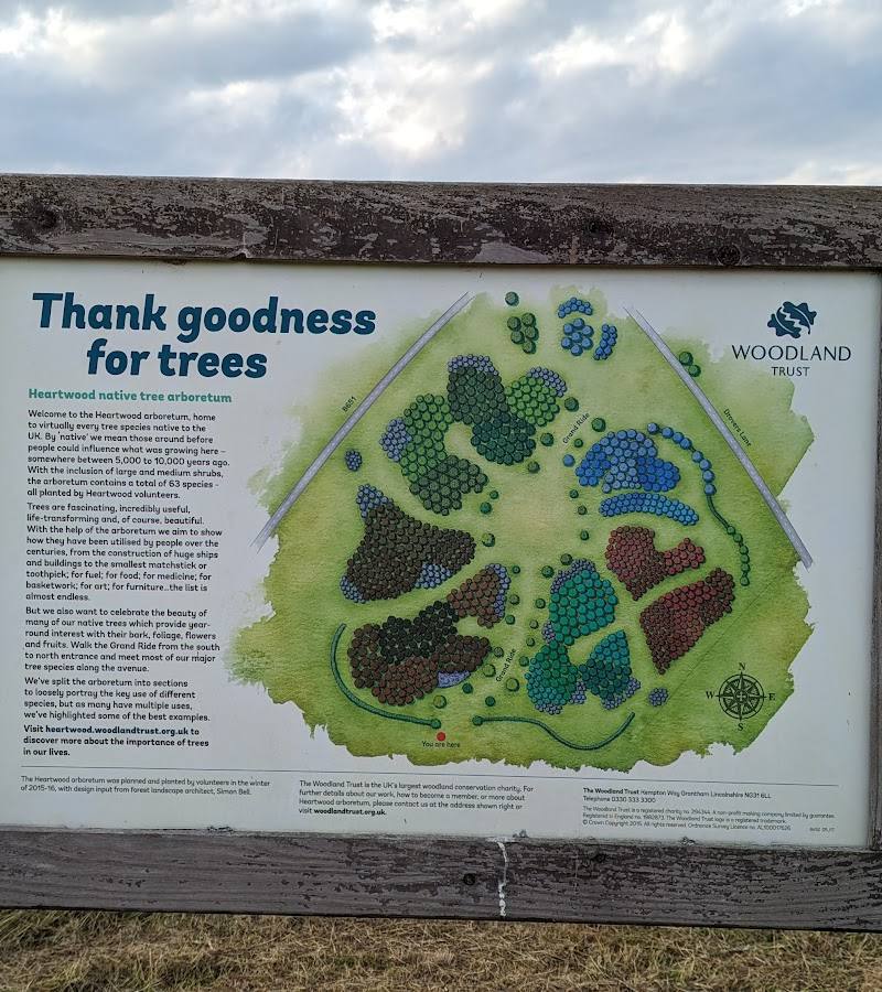 Heartwood Forest — Place photograph
