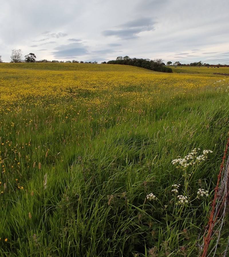 Hedleyhope Fell Nature Reserve Loop — Place photograph