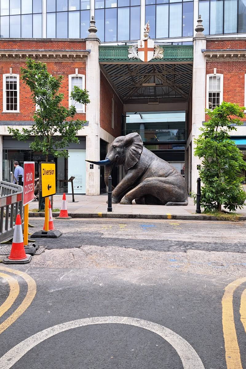 Herd of Hope Elephants — Place photograph