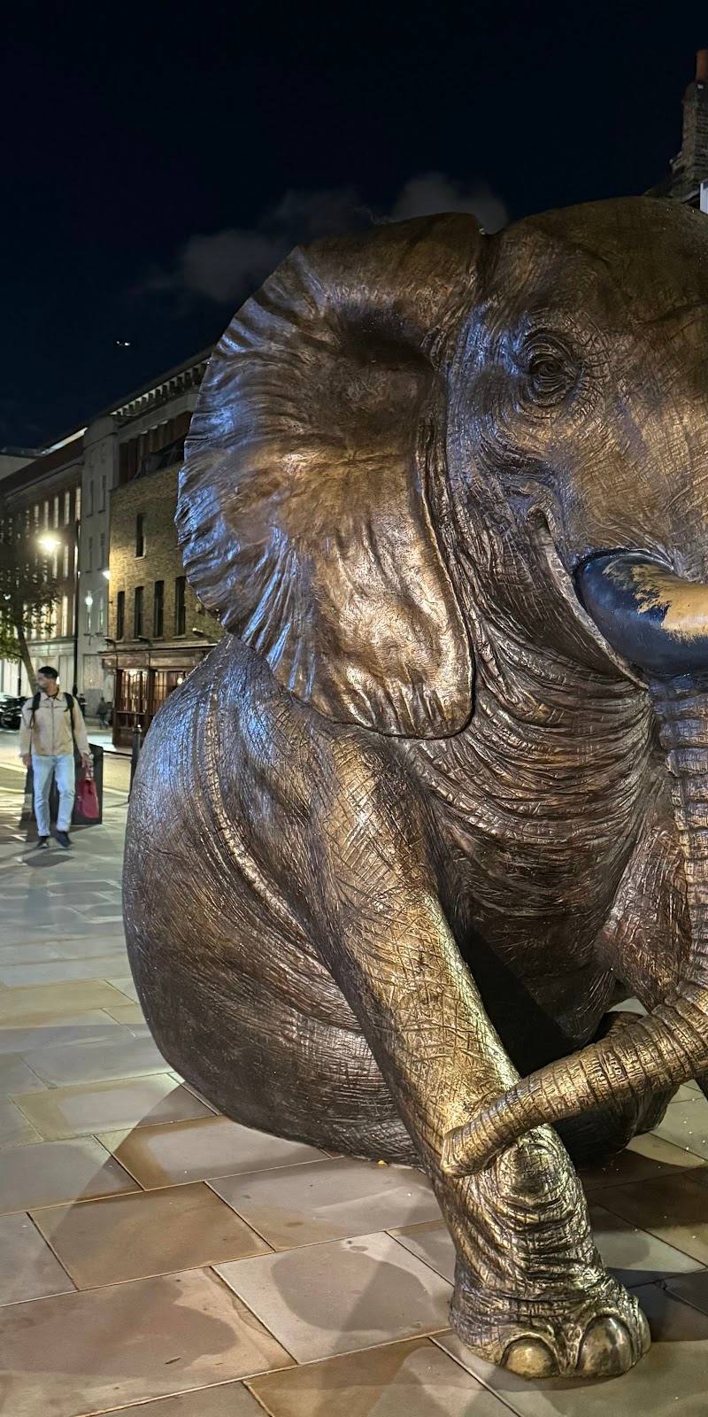 Herd of Hope Elephants — Place photograph (3 of 3)