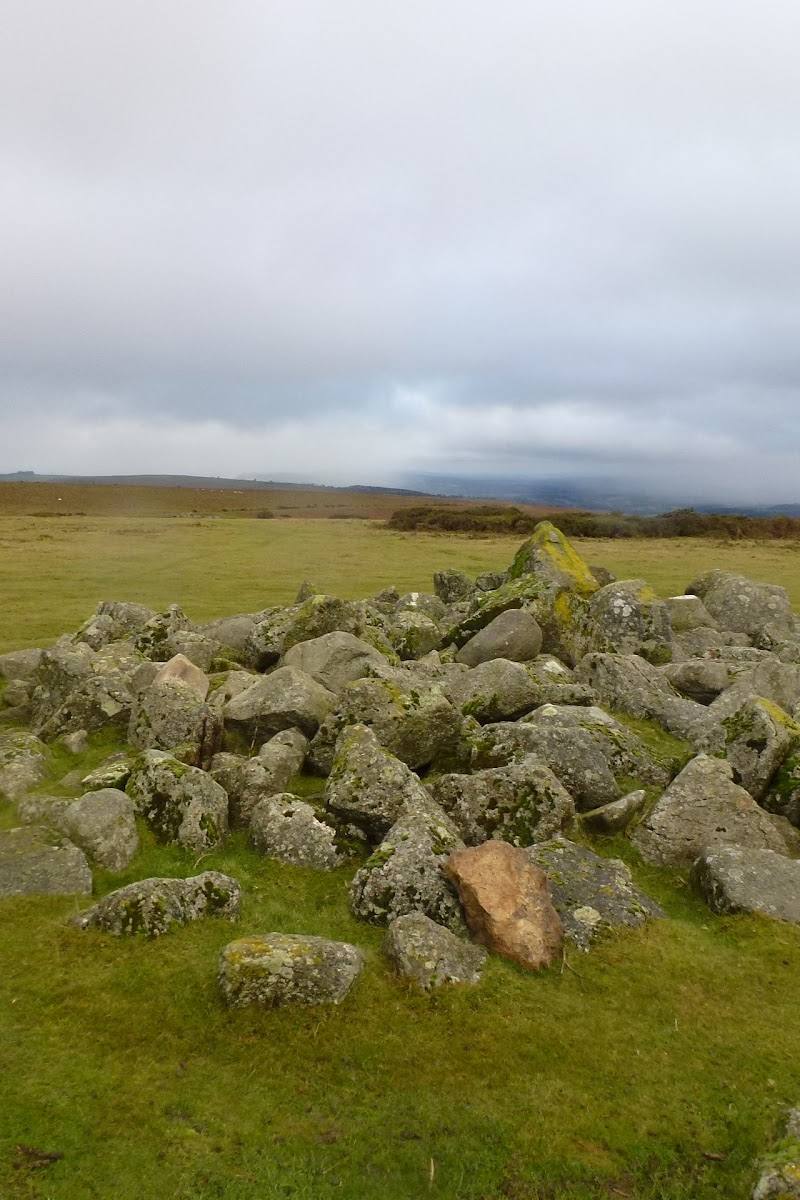 Hergest Ridge — Place photograph
