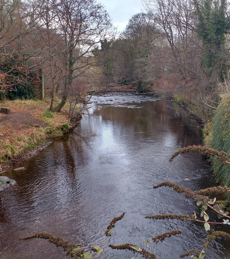 Hewan Wood — Place photograph