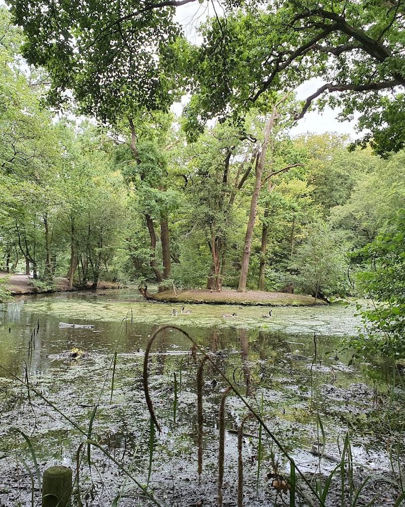 Highams Park Lake — Source image