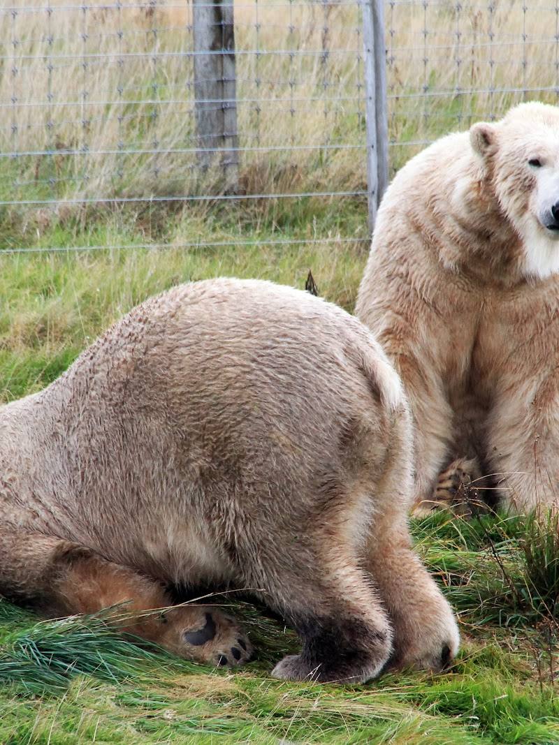 Highland Wildlife Park — Place photograph