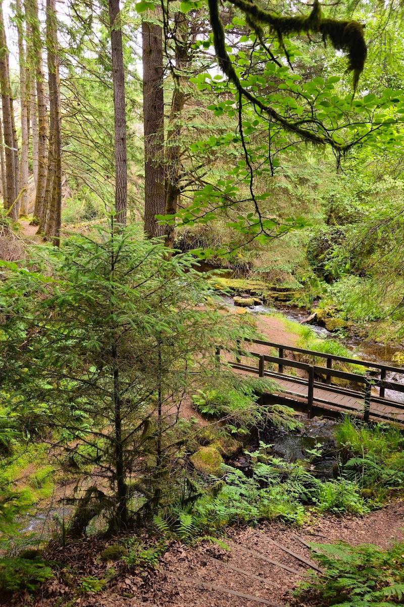 Hindhope Linn