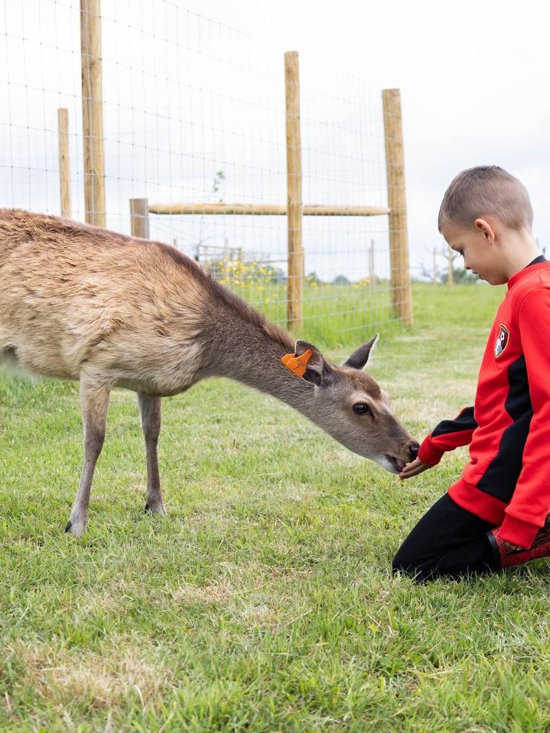 Hogshaw Farm & Wildlife Park — Place photograph