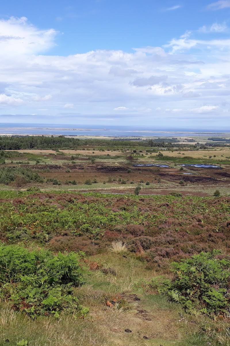 Holburn Moss Nature Reserve