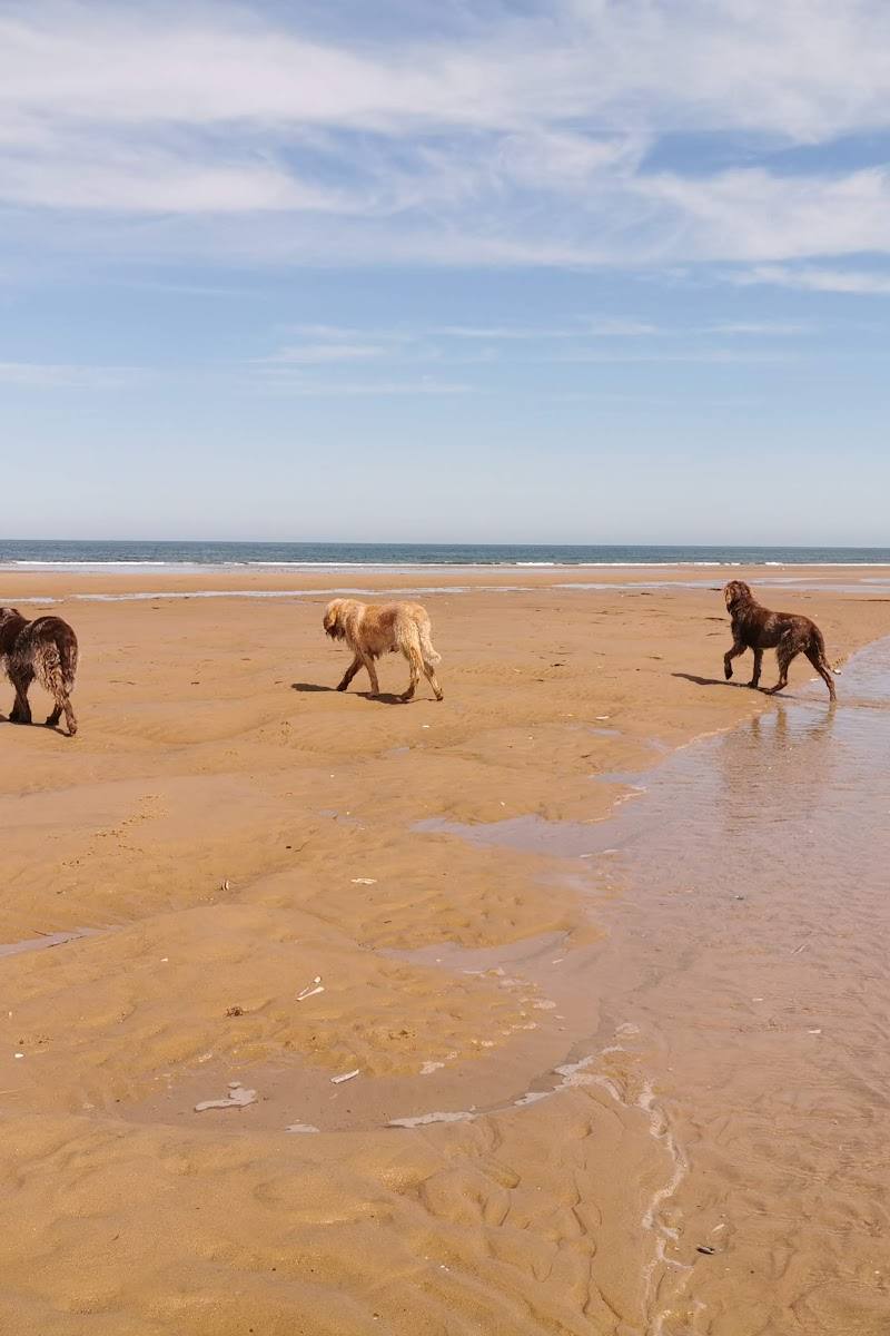 Holkham beach