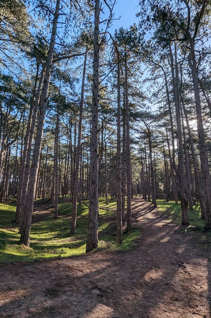 Holkham National Nature Reserve