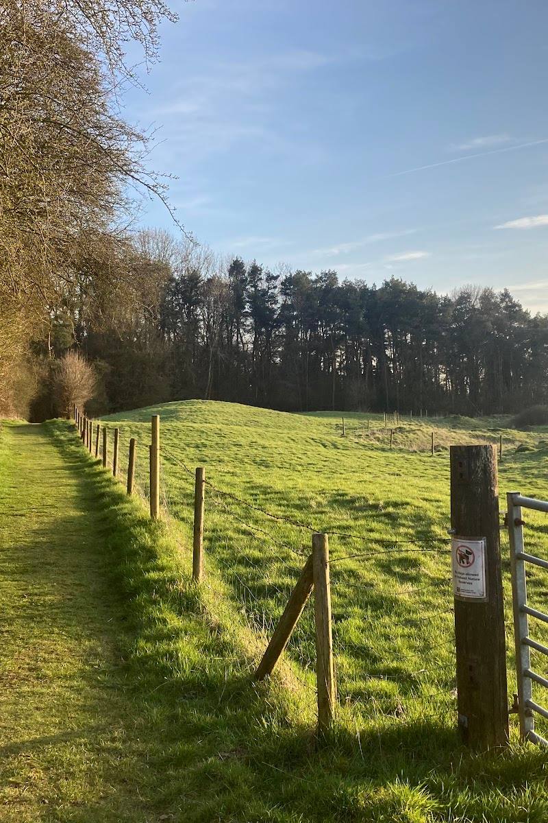 Holwell Reserves — Place photograph