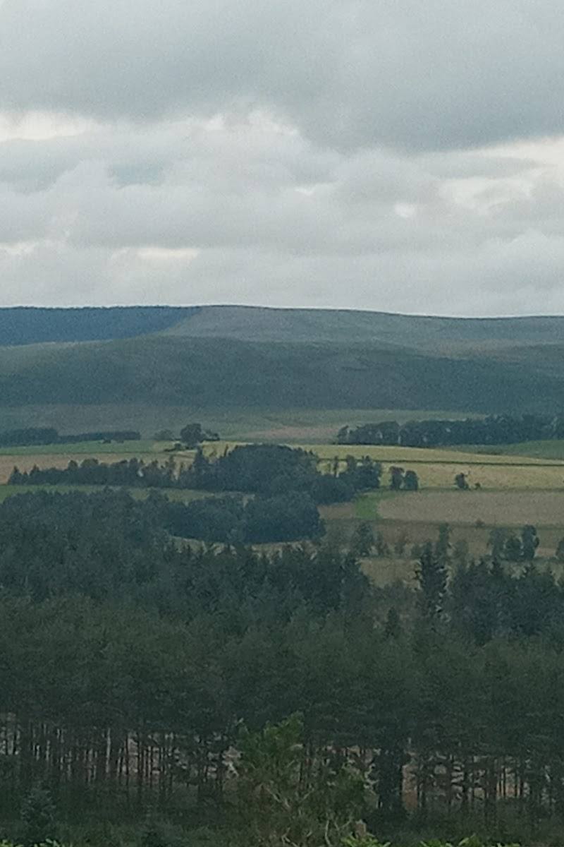 Holystone