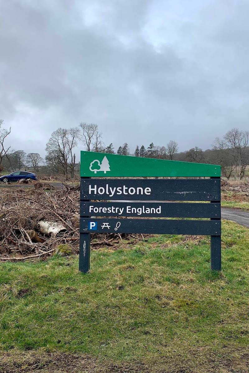 Holystone Wood — Place photograph