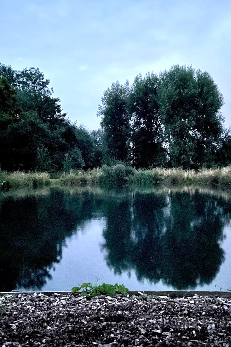 Horn Mill Trout Farm Osprey Hide — Place photograph
