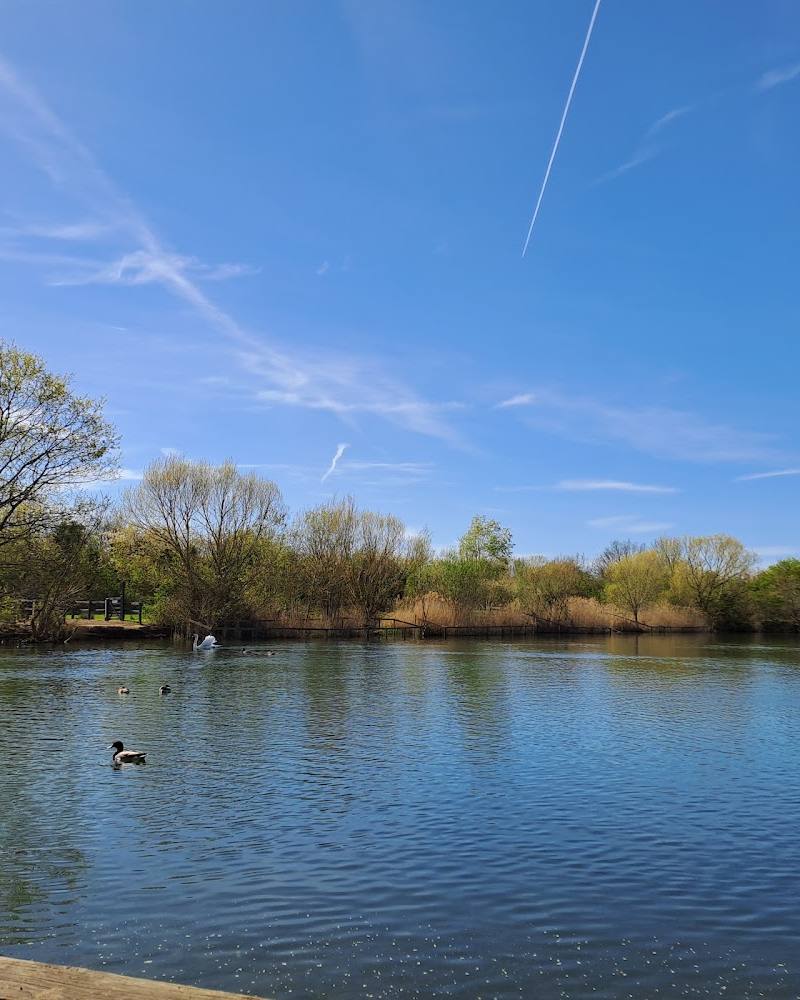 Hornchurch Country Park – Tit Lake — Source image