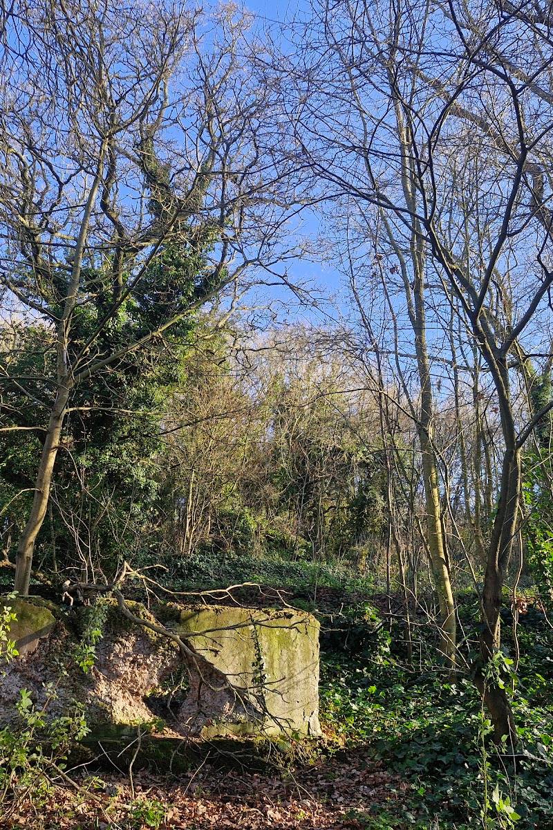 Horsenden Hill West