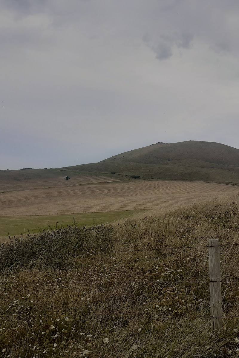 Houns Tout