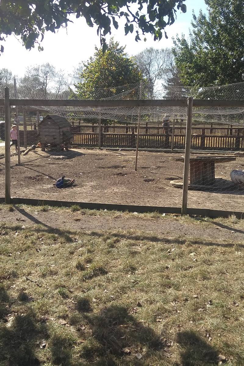 Hounslow Urban Farm — Place photograph
