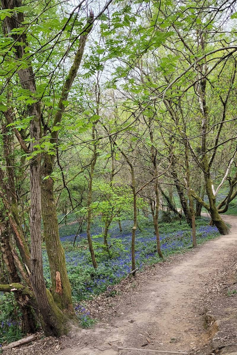 Hurst Wood — Place photograph